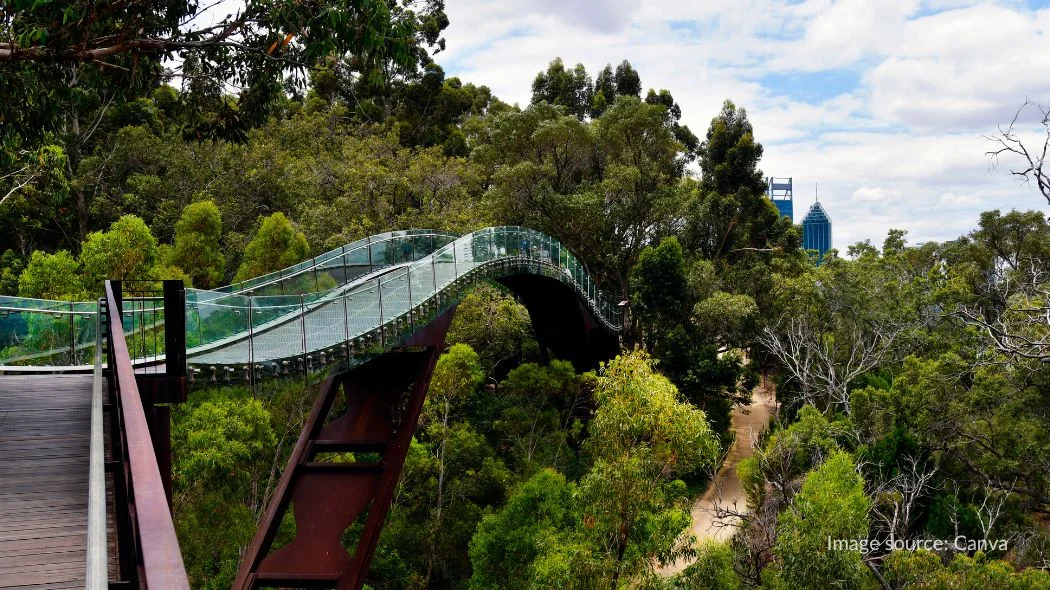 Jembatan kaca di Kings Park Perth Australia