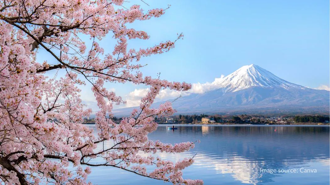 Danau Kawaguchi, tempat melihat gunung fuji dari berbagai sudut