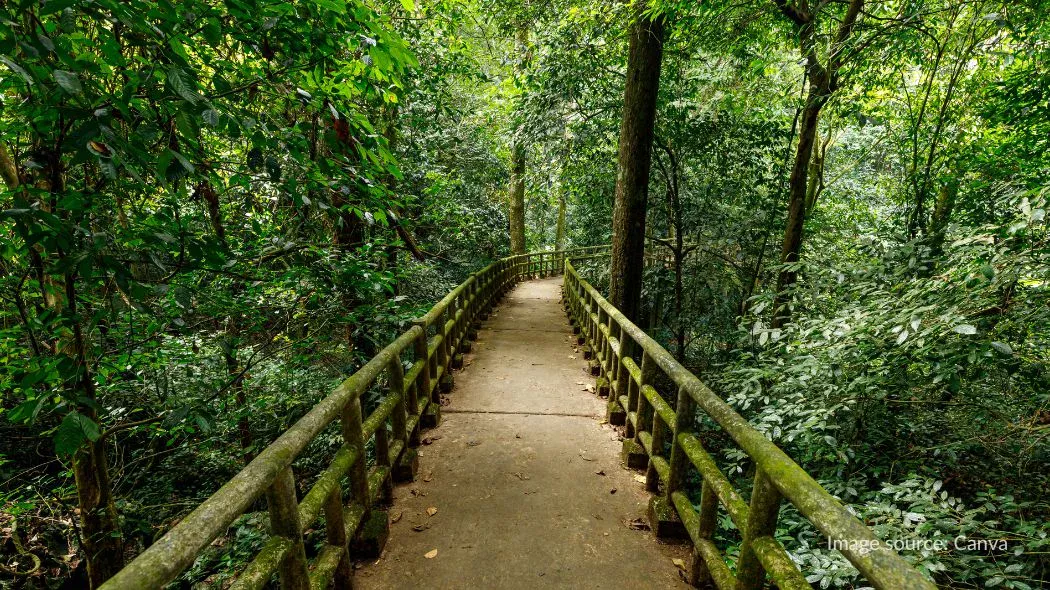 Jalur pejalan kaki di Cuc Phuong National Park