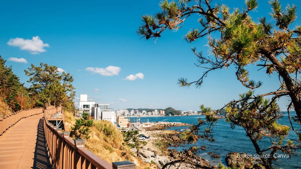 Jalur pejalan kaki di Haeundae Blueline Park