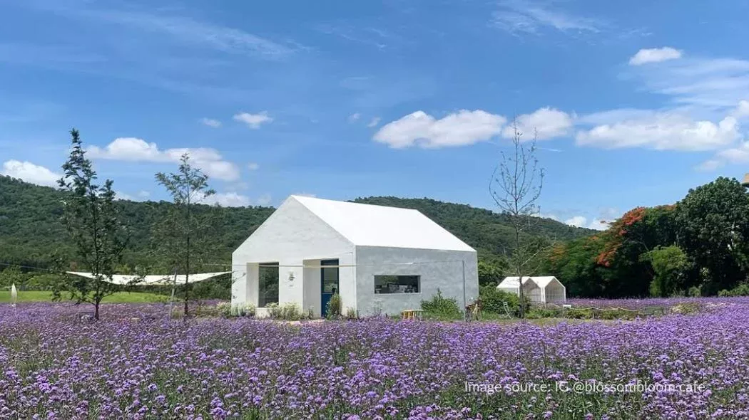 Kafe Blossom Bloom adalah tempat wisata khao yai yang instagramable dan cantik