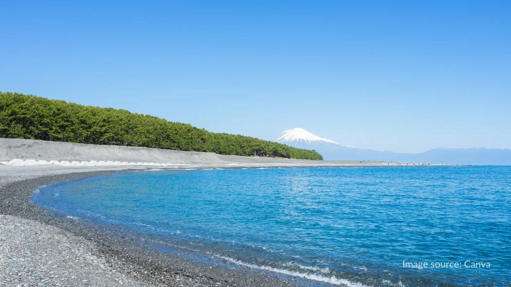 Miho Beach dengan pepohonan hijau di sekitarnya