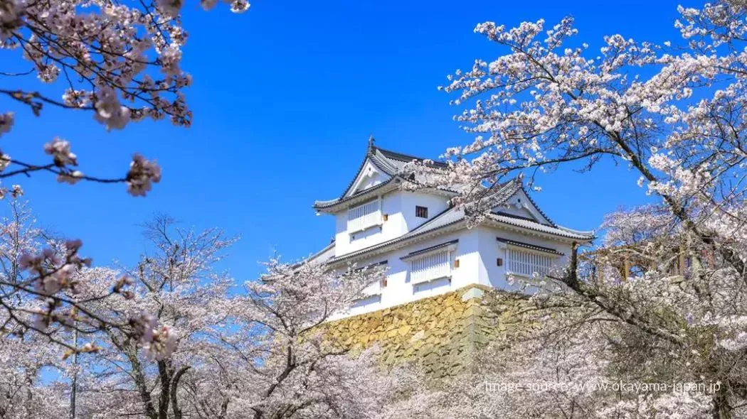 Tsumaya Castle di dalam Taman Kakuzan