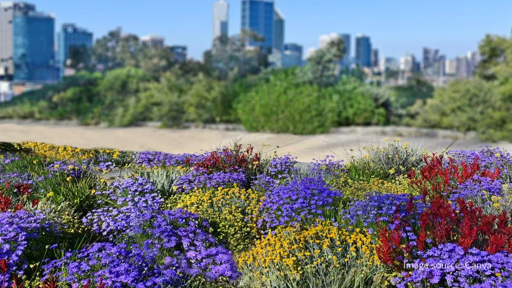 King's Park and Botanic Garden, tempat wisata Perth yang wajib dikunjungi