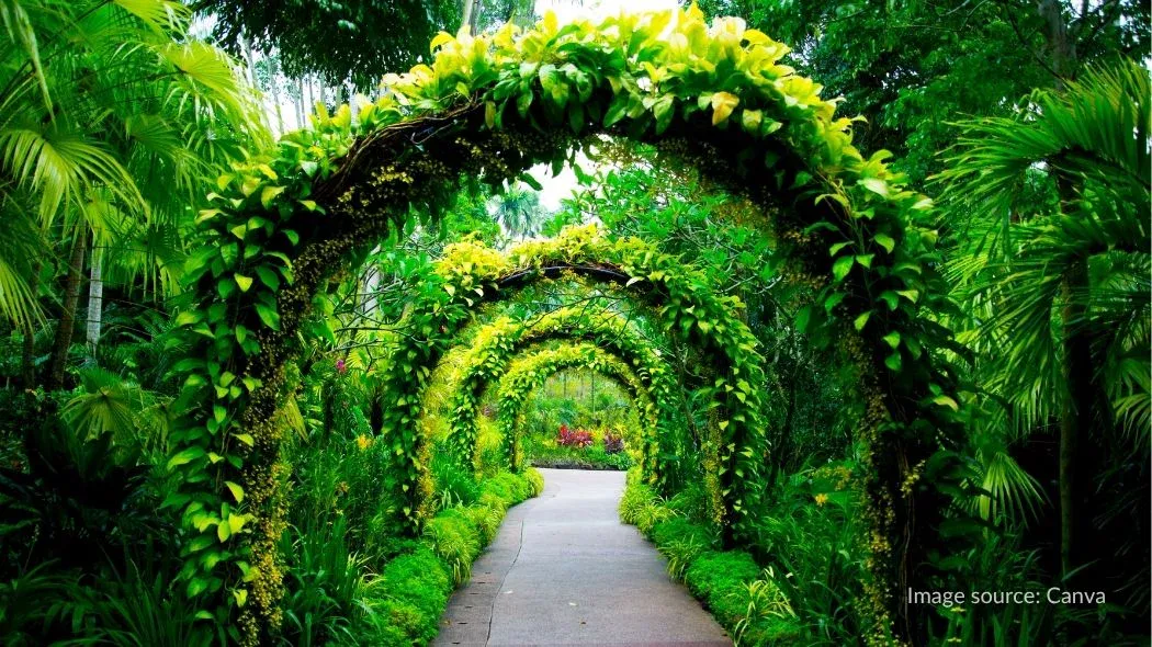 Suasana di dalam kawasan Singapore Botanic Gardens