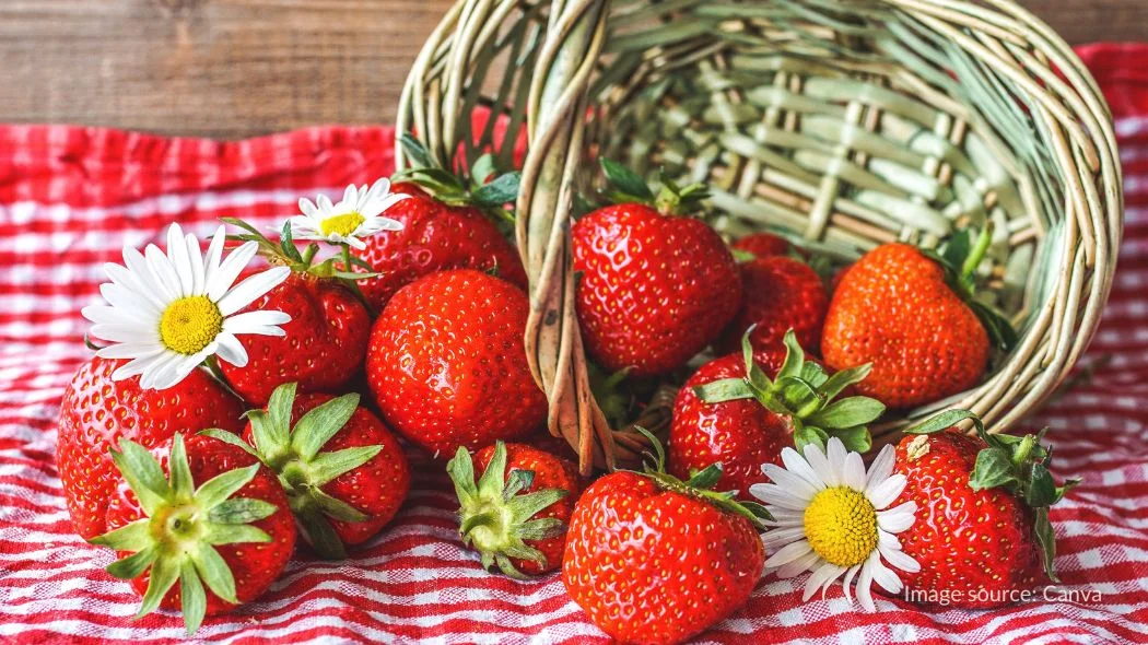 satu keranjang buah stroberi