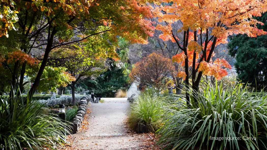 Jalan setapak di Queenstown Gardens