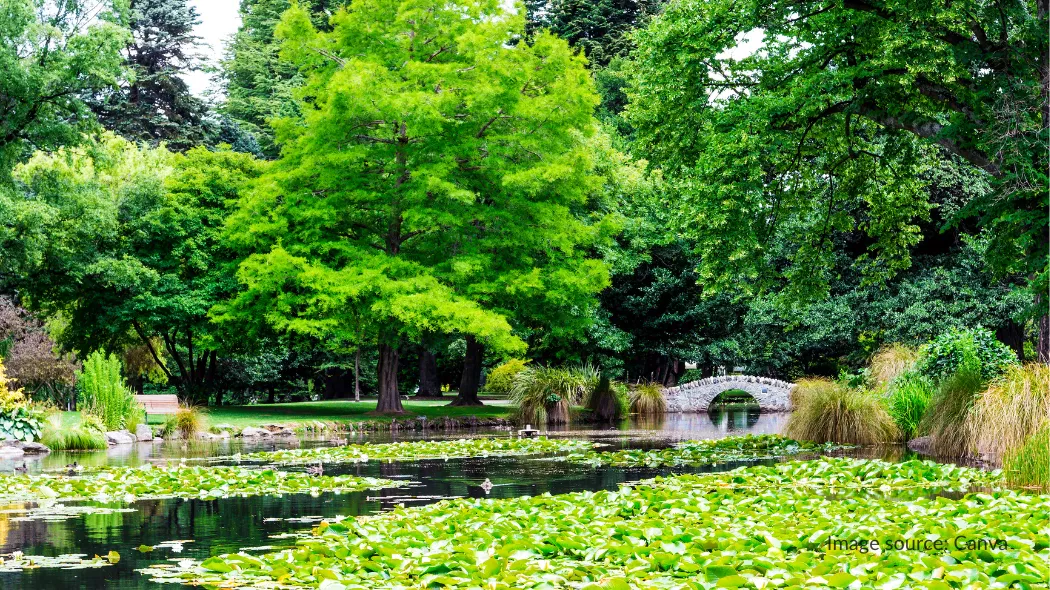Queenstown Gardens